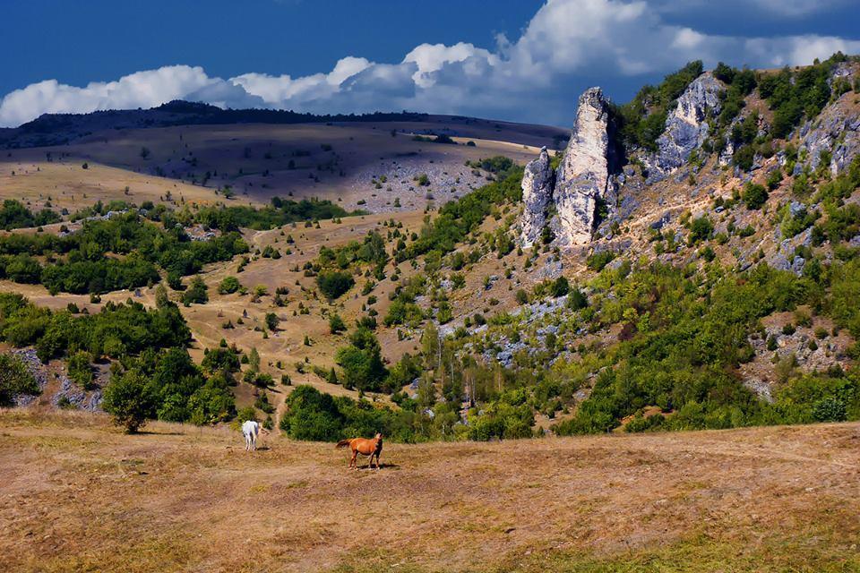 Apartments Stari Jasen Uvac Sjenica Exteriér fotografie